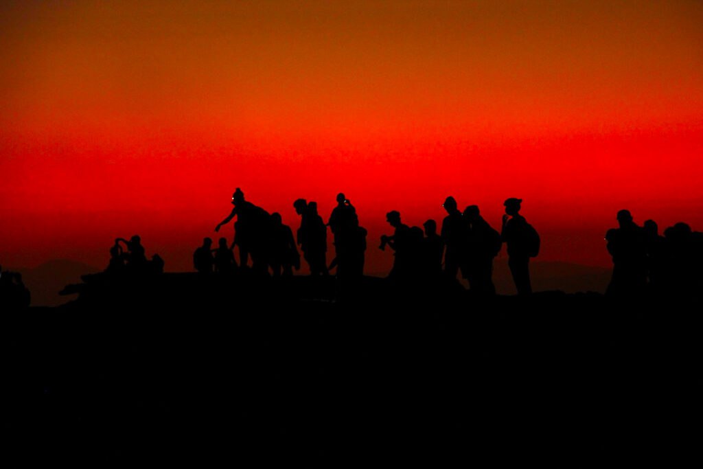 Teddy Car Rental vehicle on the road