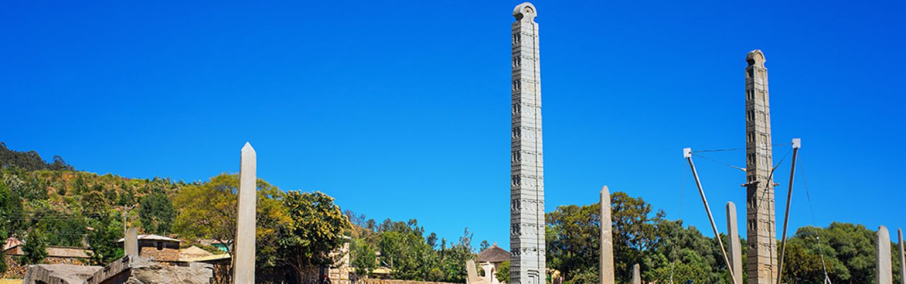 Teddy Car Rental bus service